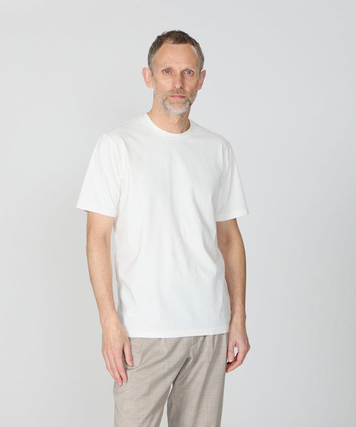 送料込み！！購入困難！！SEASE（シーズ） Tシャツ 送料込み 購入困難 SEASE（シーズ） Tシャツ